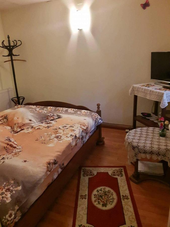 Harmonia Studio Apartment Brasov Bagian luar foto
