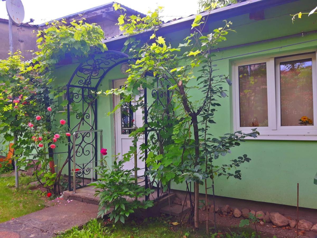 Harmonia Studio Apartment Brasov Bagian luar foto