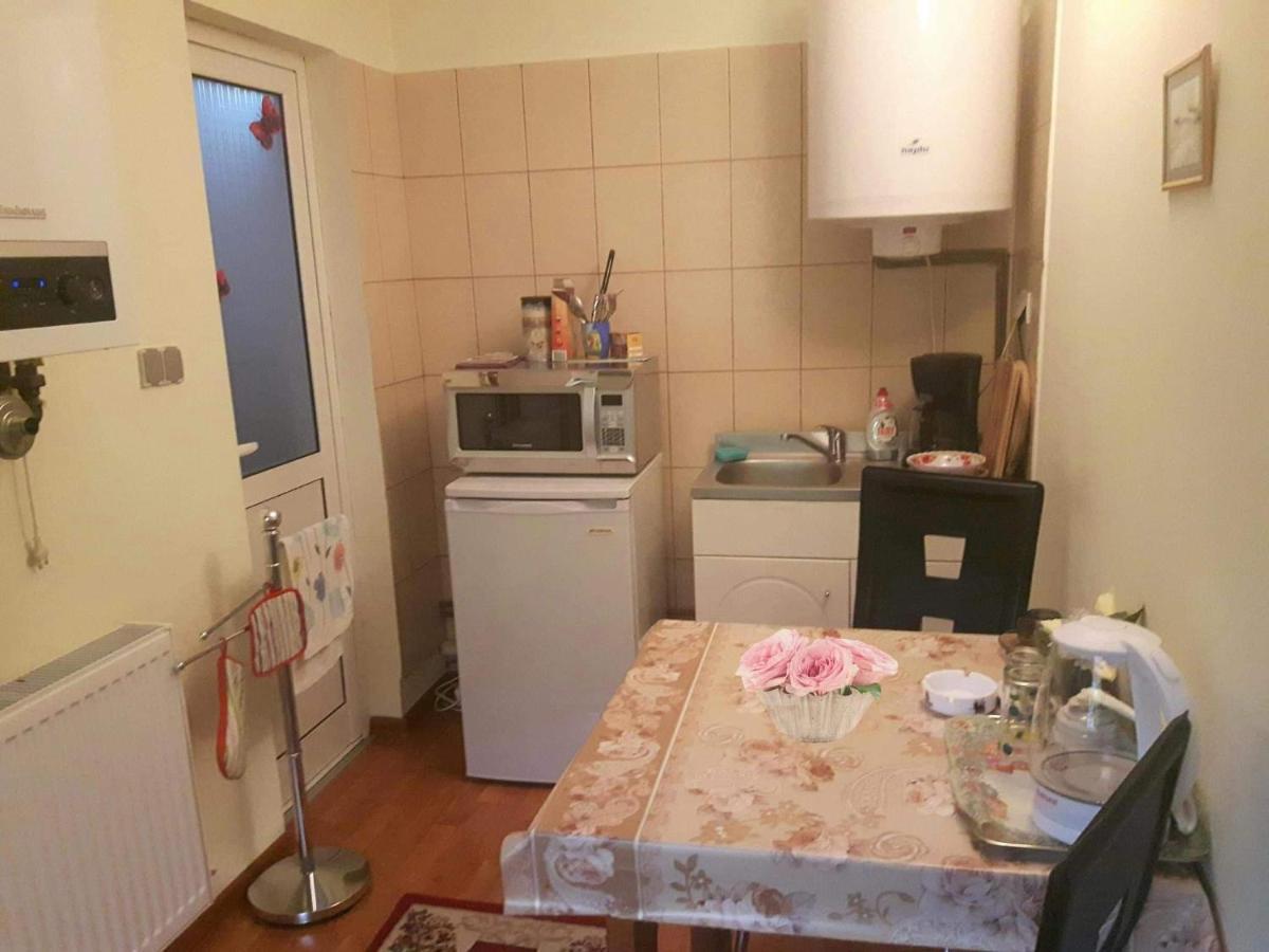 Harmonia Studio Apartment Brasov Bagian luar foto
